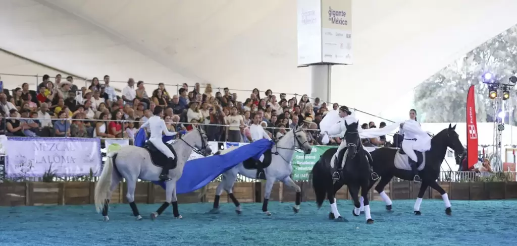 Cierre exitoso y saldo blanco en la Feria Internacional del Caballo Aguascalientes 2026
