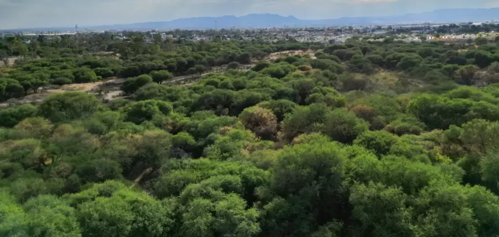 La Pona sigue sin declaratoria- estudio definirá si será área natural protegida o bosque urbano