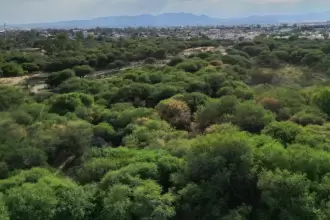 La Pona sigue sin declaratoria- estudio definirá si será área natural protegida o bosque urbano