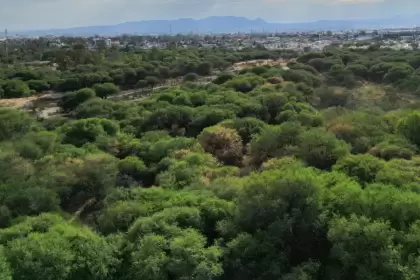 La Pona sigue sin declaratoria- estudio definirá si será área natural protegida o bosque urbano