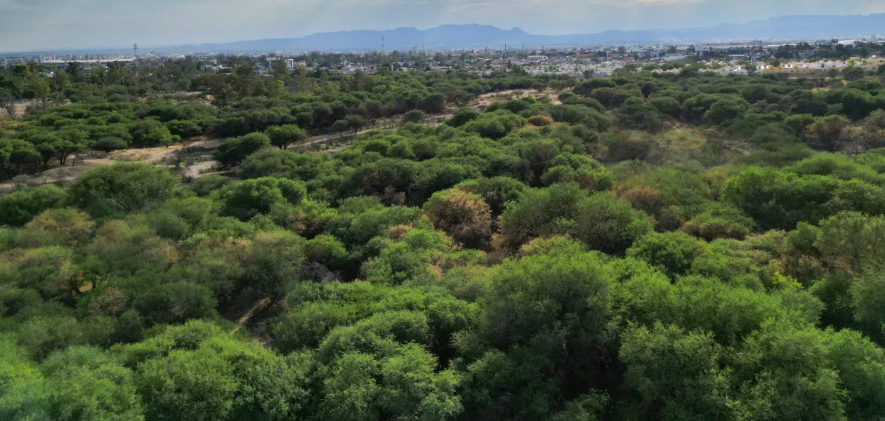 La Pona sigue sin declaratoria- estudio definirá si será área natural protegida o bosque urbano