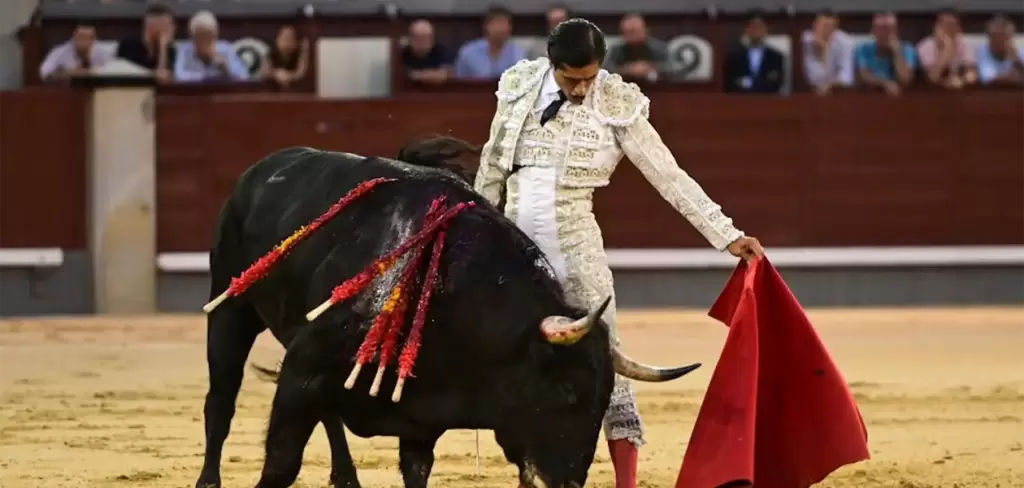 Siempre estuvo dispuesto Luis David a torear bien, como lo hizo en varios momentos. Fotos: Cortesía Plaza 1.