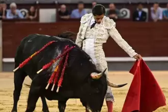 Siempre estuvo dispuesto Luis David a torear bien, como lo hizo en varios momentos. Fotos: Cortesía Plaza 1.