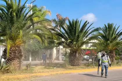 Mega operativo limpia Mariano Escobedo 2026
