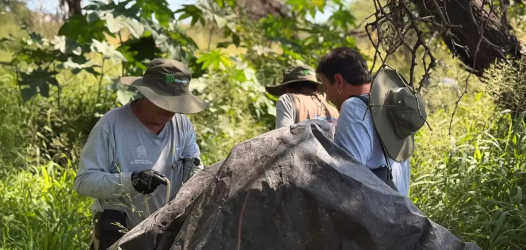 Refuerzan conservación de La Pona en Aguascalientes
