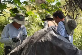 Refuerzan conservación de La Pona en Aguascalientes