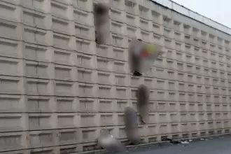 La otra cara de la moneda de la masacre de Zacatecas