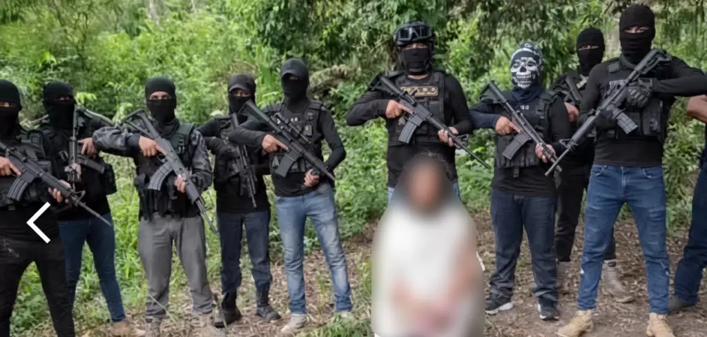 División territorial del narco en México
