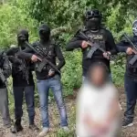 División territorial del narco en México