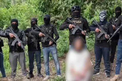 División territorial del narco en México