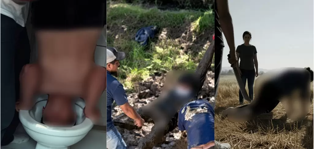 Casos más graves de novatadas en escuelas militarizadas