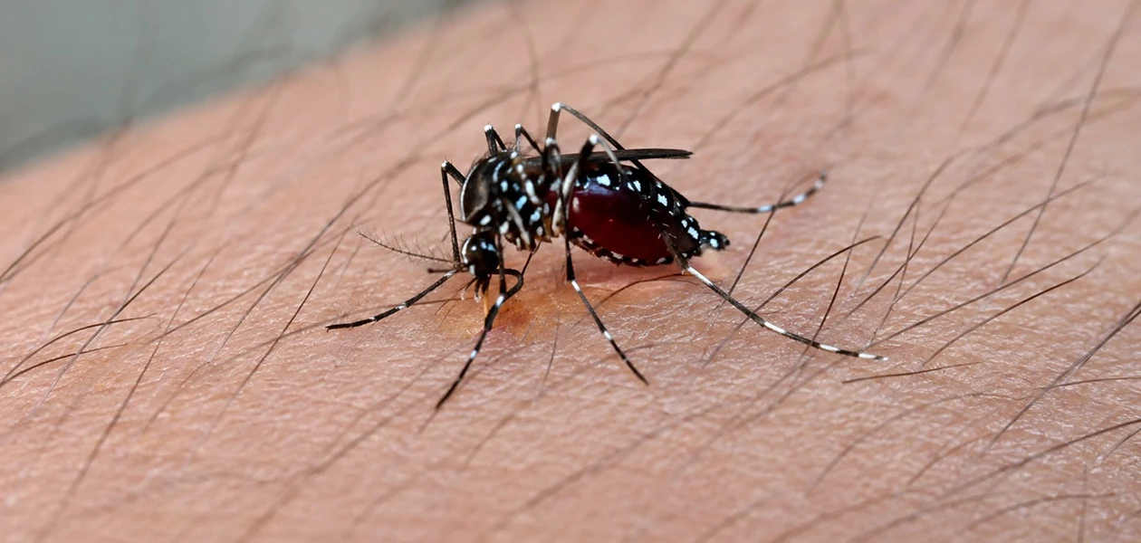 Aparece el virus más peligroso de dengue