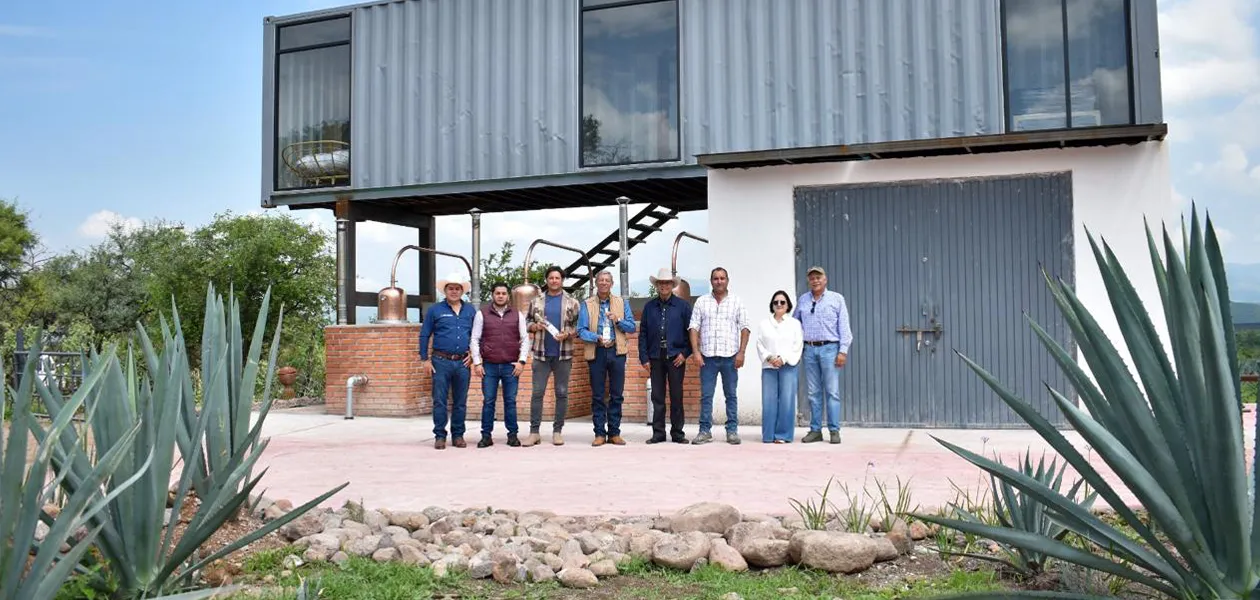 Destilería Real de Calvillo fortalece producción de mezcal en Aguascalientes