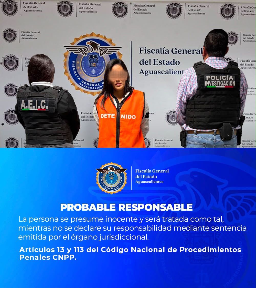 Detenida danos boutique Jardines de la Concepcion I 1