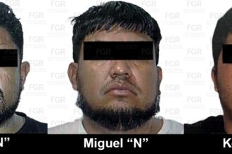 Detenidos arma larga cargadores cartuchos Costco