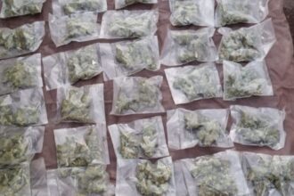 Droga 1