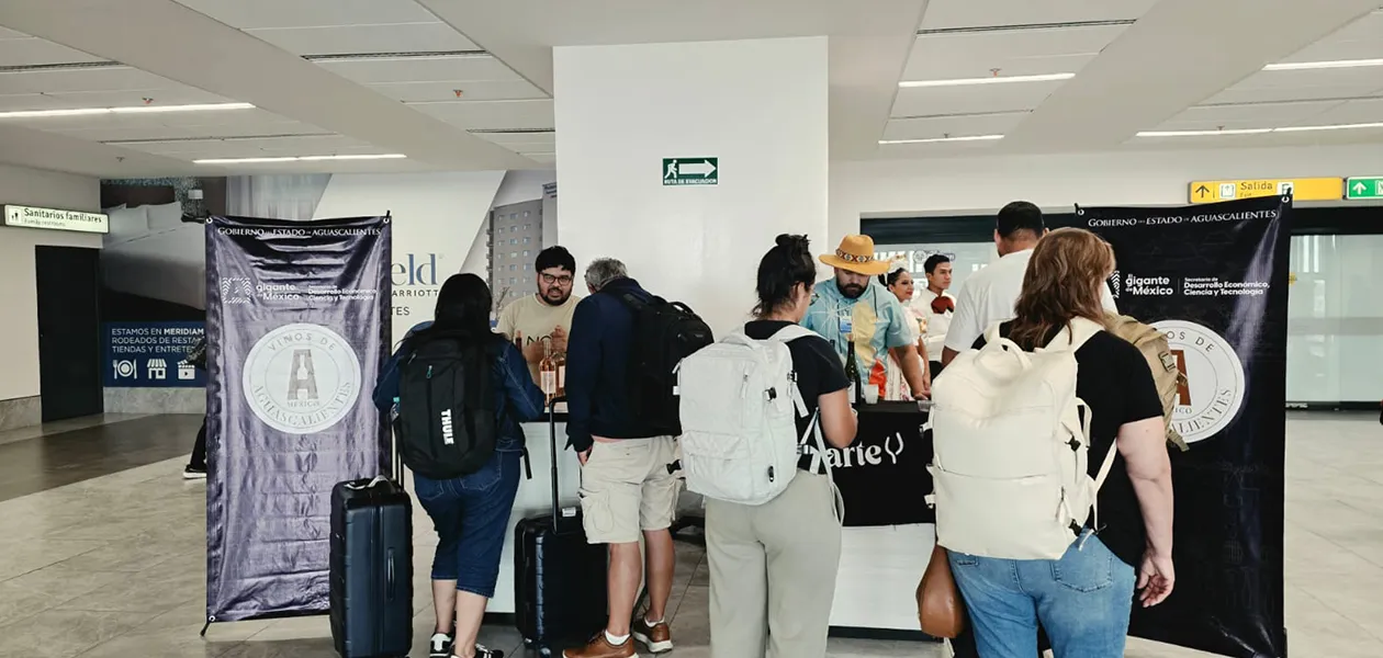 Estrategia vitivinícola impulsa turismo y economía en Aguascalientes