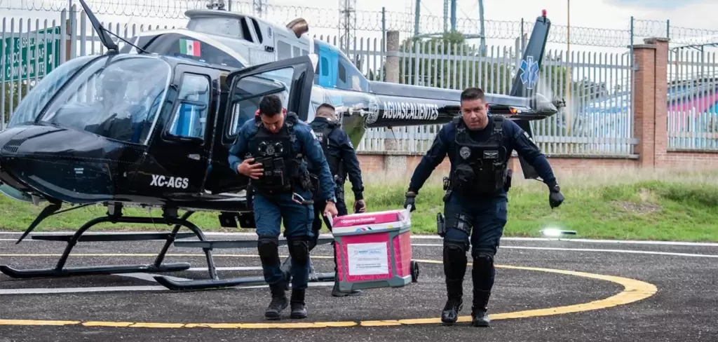 Halcón 1 traslada hígado de Tepic a nuestra capital