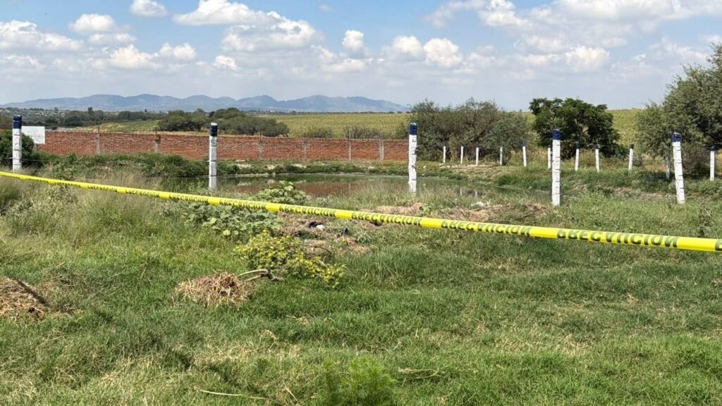 Muerto estanque Montoro 1