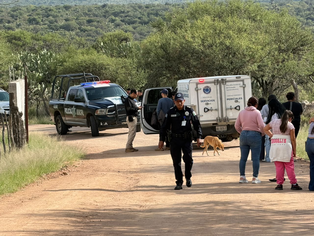 Muerto motociclista caida Pabellon de Arteaga 1