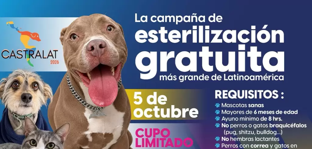 Se suma el ISSEA a la campaña de esterilización más grande de América