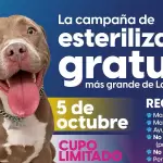 Se suma el ISSEA a la campaña de esterilización más grande de América