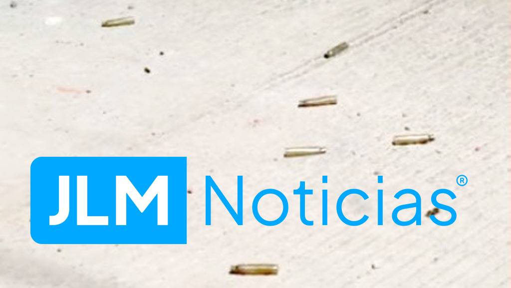 Sentencias sicarios detenidos Rincon de Romos 11