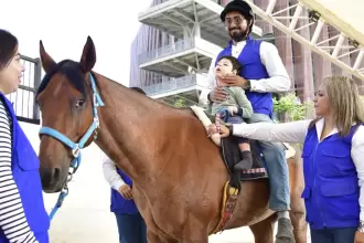 Tamarindo: el caballo que transforma vidas en el DIF Estatal