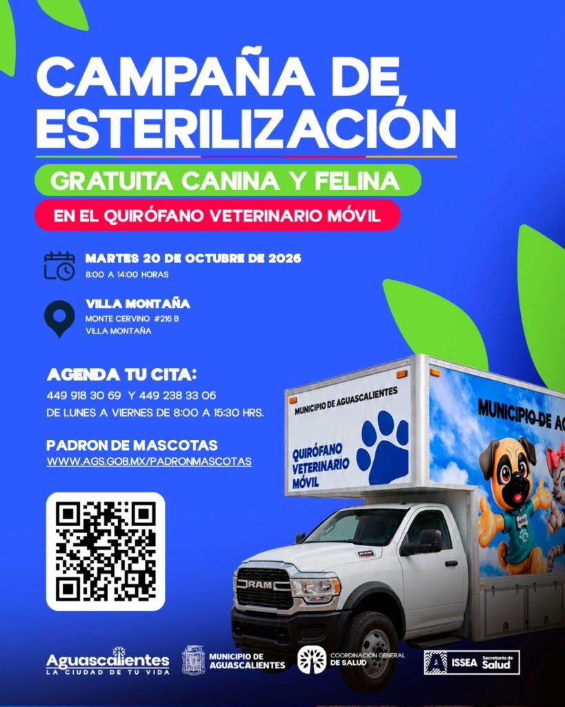 20 OCTUBRE
