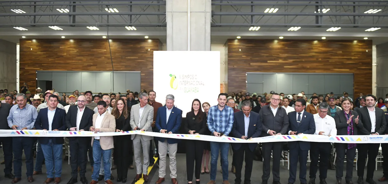 Aguascalientes impulsa la producción global de guayaba