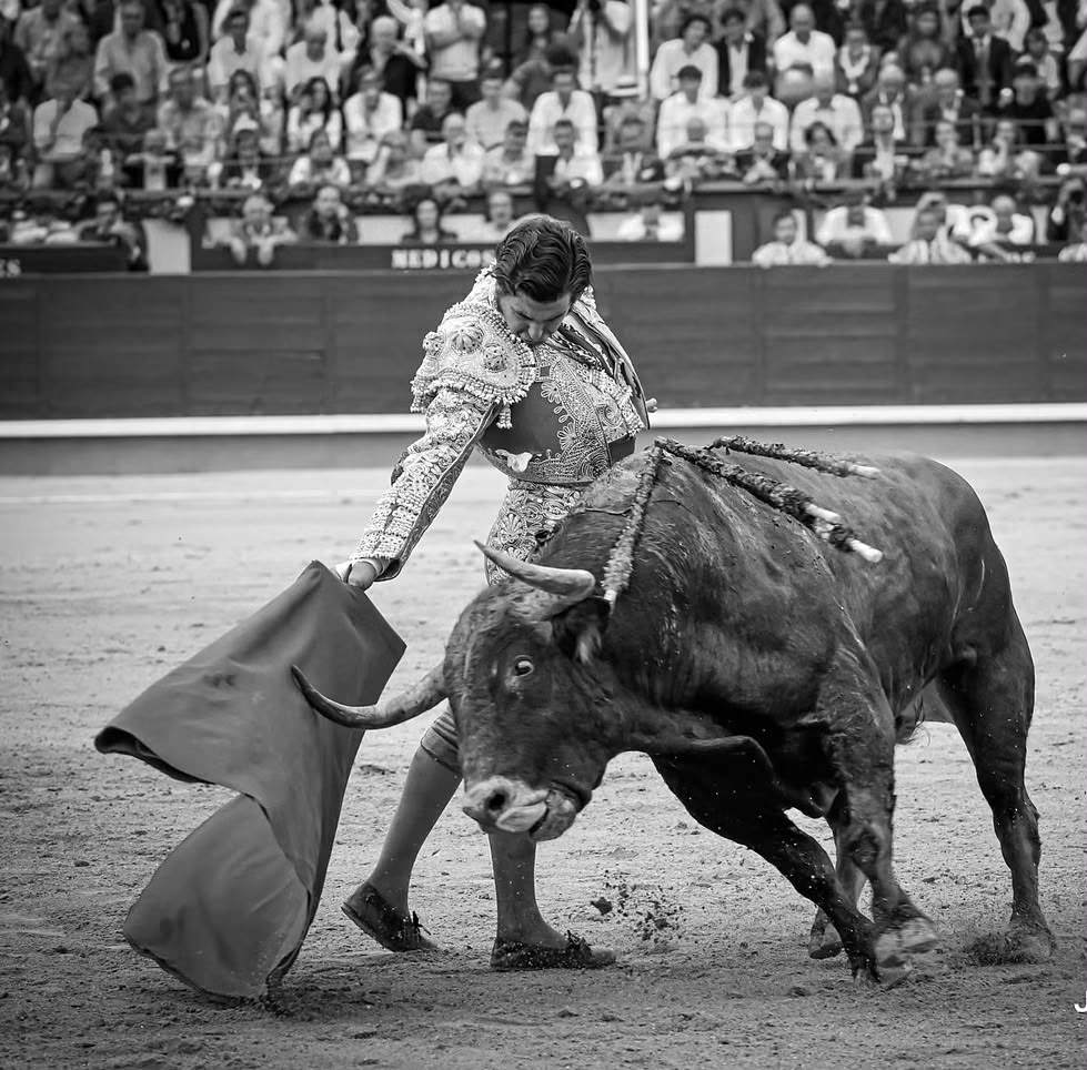 Firme y con actitud se mostró “Morante” que deleitó con pocos, pero magníficos naturales pese a las embestidas ásperas de sus toros.