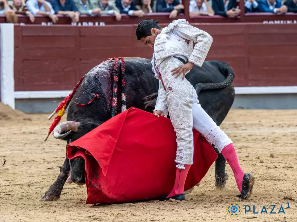 Héctor Gutiérrez dejó sobre el ruedo de Madrid esta tarde, detalles de la calidad que poseé, pero que no le alcanzó para conectar con el tendido.