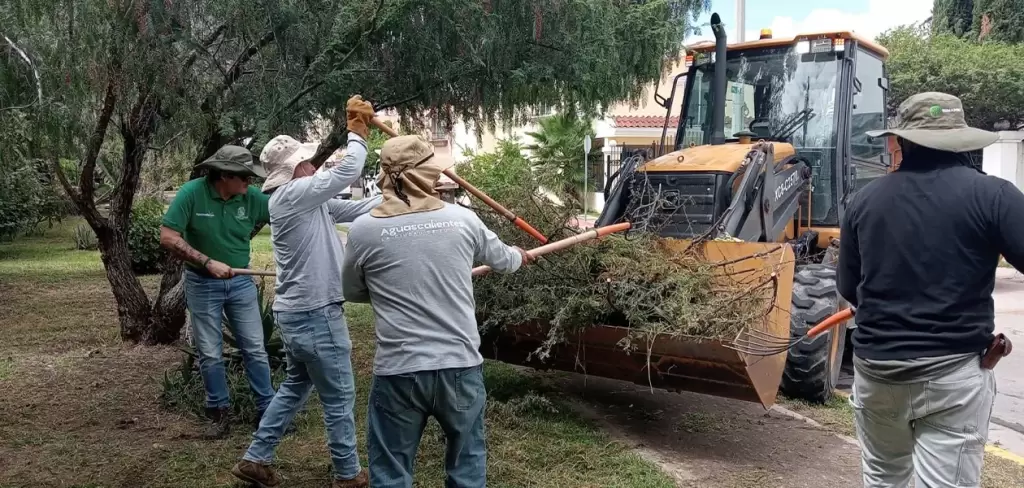 Intensifican limpieza en el arroyo El Molino en Aguascalientes