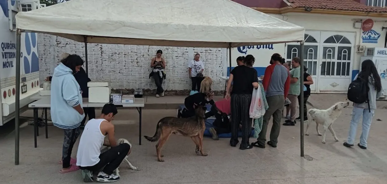 Jornadas de esterilización de mascotas en Aguascalientes sedes Norias de Paso Hondo y Colonia Gremial