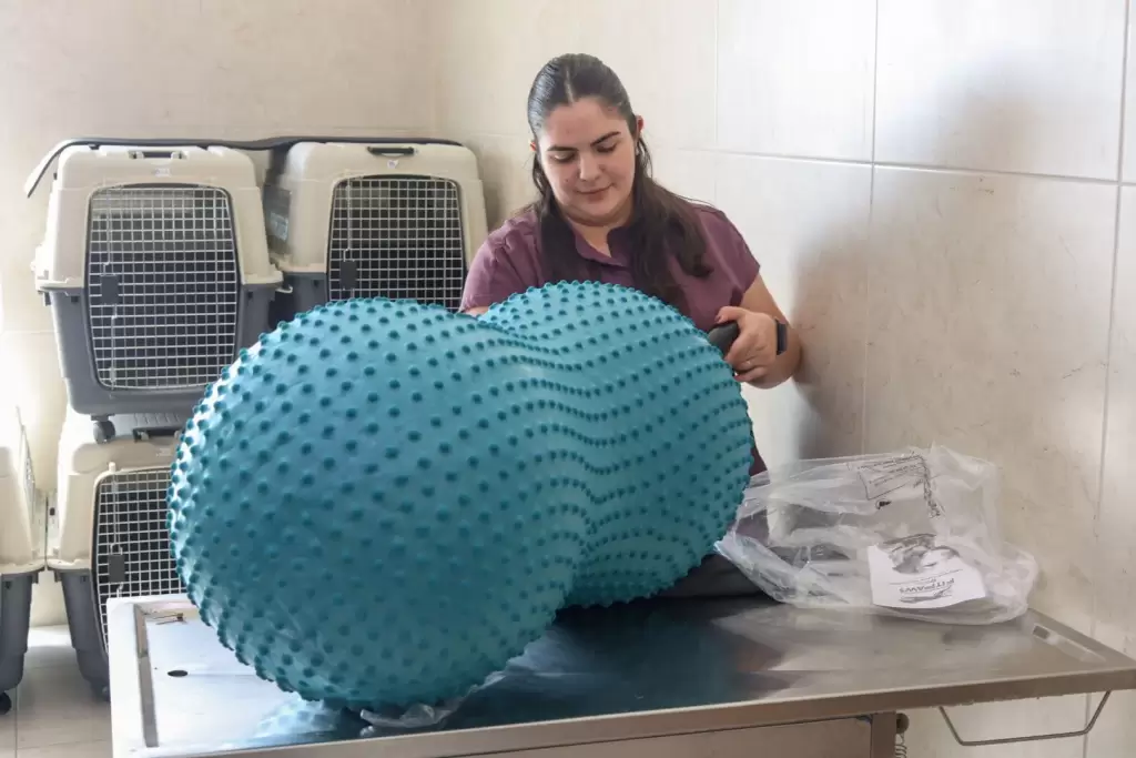 Leo Montanez fortalece servicios de salud animal en Aguascalientes 2