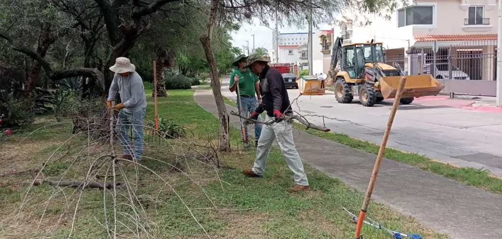 Leo Montañez impulsa limpieza del arroyo El Molino