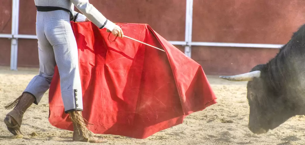 Novilleros y toreros en la Monumental de Aguascalientes
