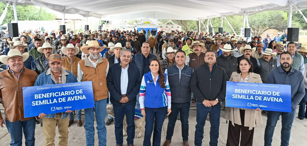 Respaldan el campo de Aguascalientes con semilla de avena